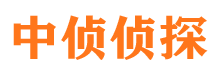 登封外遇调查取证